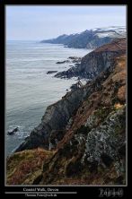 coastal walk devon.jpg